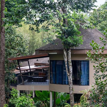 Rock And Tree House Resort Khao Sok National Park Zewnętrze zdjęcie