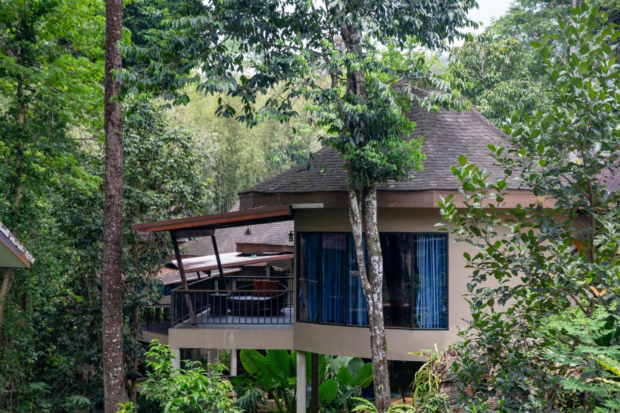 Rock And Tree House Resort Khao Sok National Park Zewnętrze zdjęcie